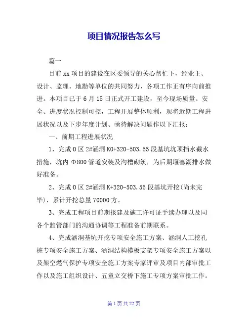 项目情况报告怎么写