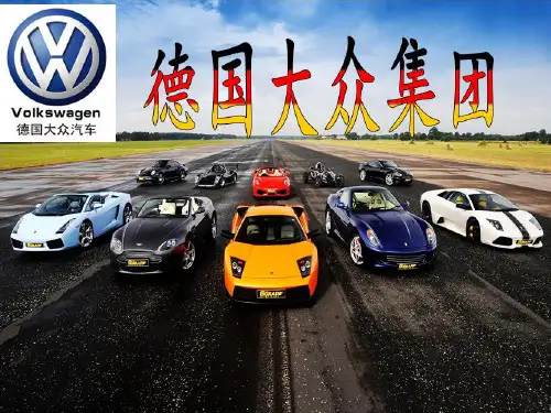 德国大众组织结构分析