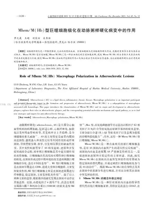 Ｍｈｅｍ／Ｍ（Ｈｂ）型巨噬细胞极化在动脉粥样硬化病变中的作用