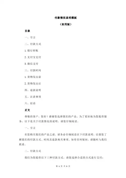 付款情况说明模板
