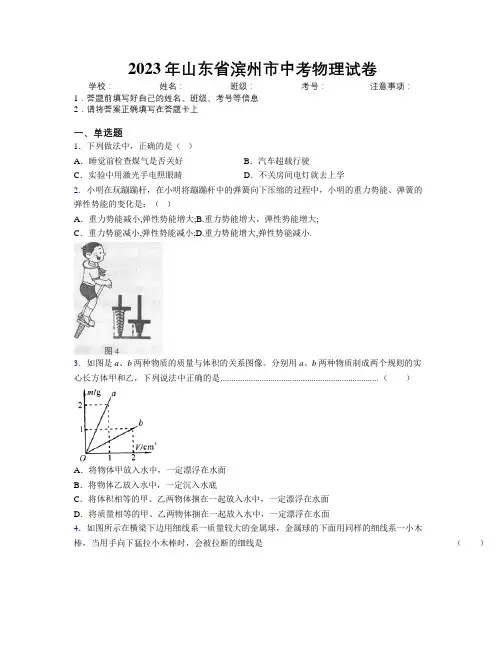 2023年山东省滨州市中考物理试卷及解析