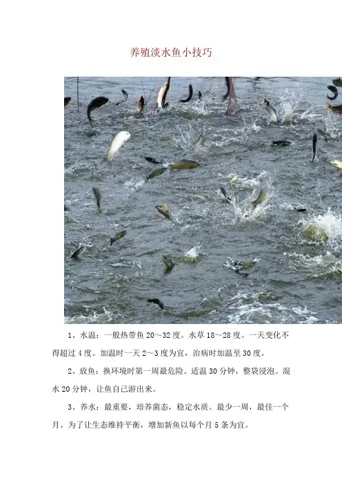 养殖淡水鱼小技巧