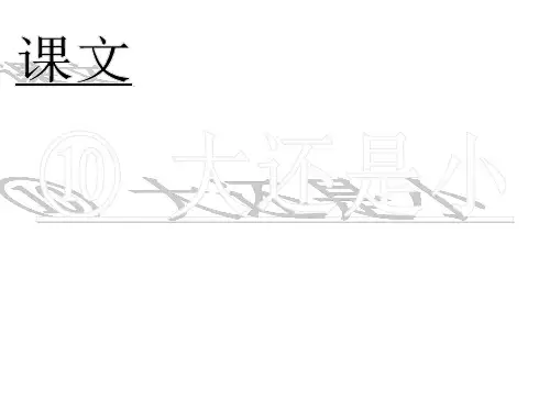 部编版教材语文《大还是小》实用ppt2