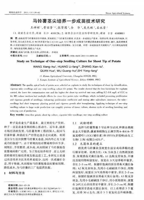 马铃薯茎尖培养一步成苗技术研究