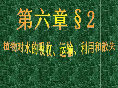 植物对水分的吸收运输利用和散失PPT