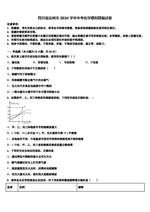 四川省达州市2024届中考化学模拟精编试卷含解析