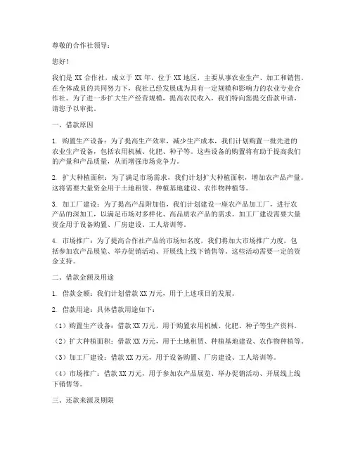 合作社书面借款申请书模板