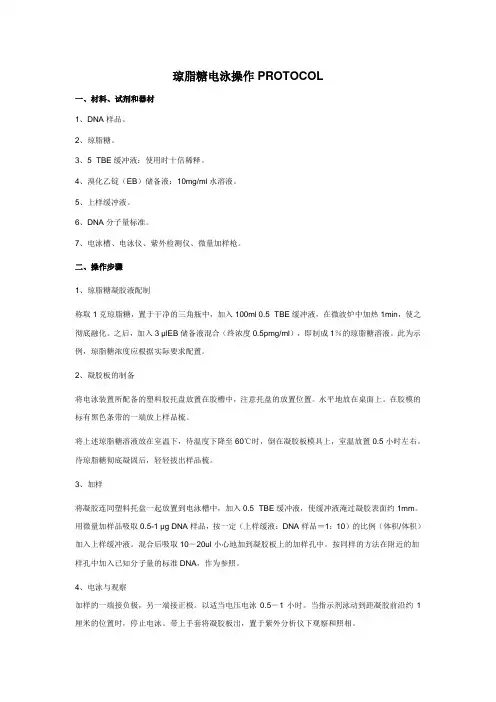 琼脂糖凝胶电泳SOP