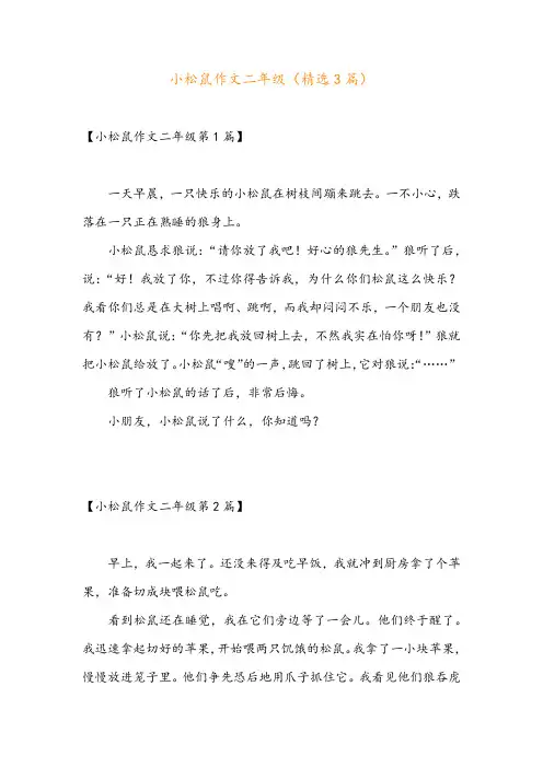 小松鼠作文二年级(精选3篇)