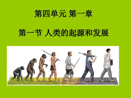 1.1人类的起源和发展课件(共18张)(人教版生物)