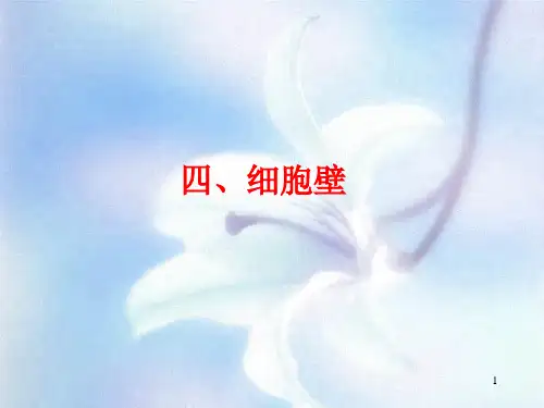 植物学教学2植物细胞2PPT课件