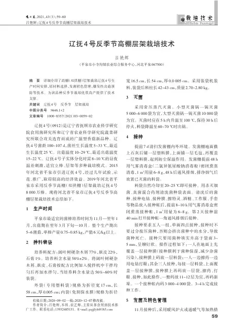 辽抚4号反季节高棚层架栽培技术
