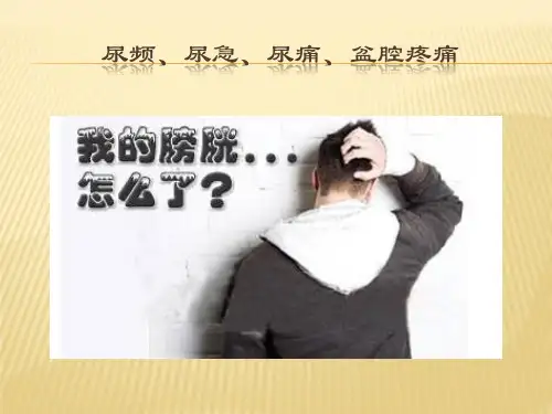间质性膀胱炎的围手术期护理进展——马瑞12精品PPT课件