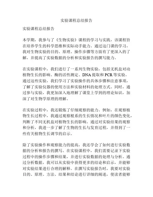 实验课程总结报告