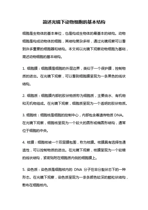 简述光镜下动物细胞的基本结构