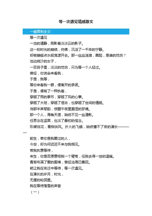 等一次遇见情感散文
