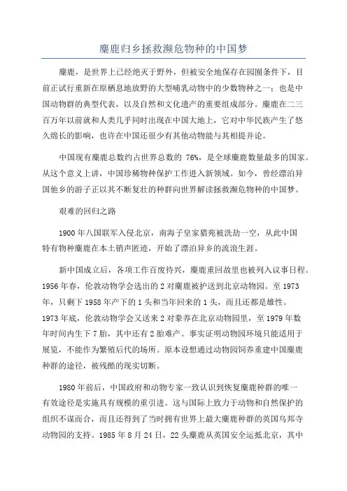 麋鹿归乡拯救濒危物种的中国梦
