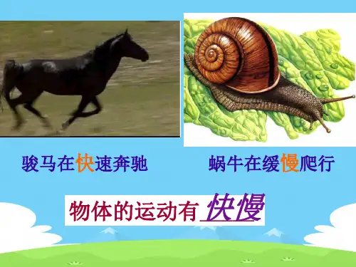 沪科版初中物理八年级全一册-2.3 快与慢 课件   