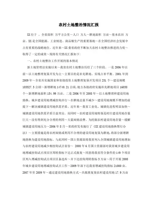 农村土地整治情况汇报