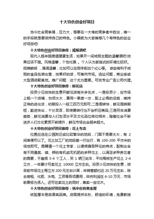 十大特色创业好项目