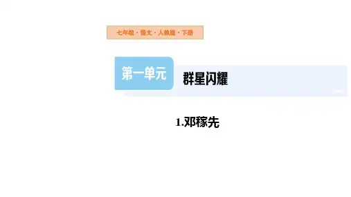 《邓稼先》ppt课件