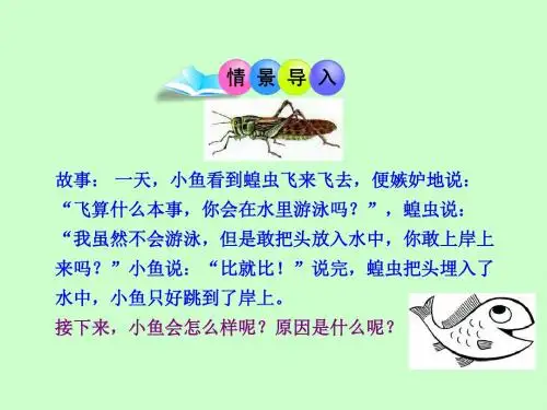 第四节 鱼(上课)