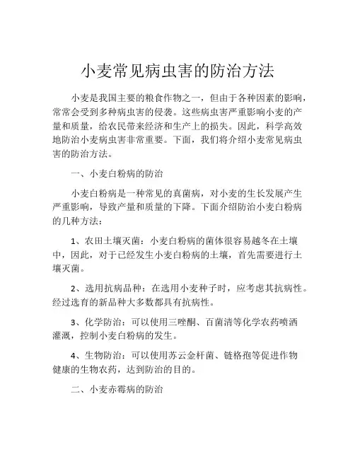 小麦常见病虫害的防治方法