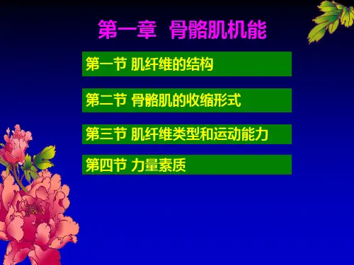 健身训练生理骨骼肌