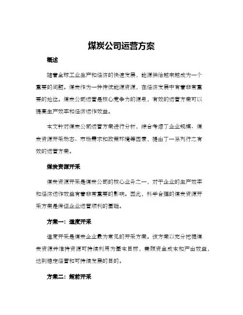 煤炭公司运营方案