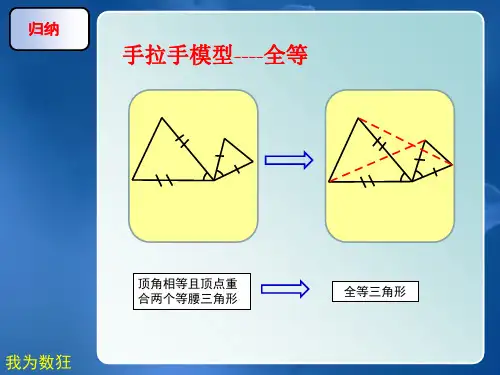 手拉手模型专业知识讲座