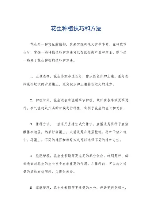 花生种植技巧和方法