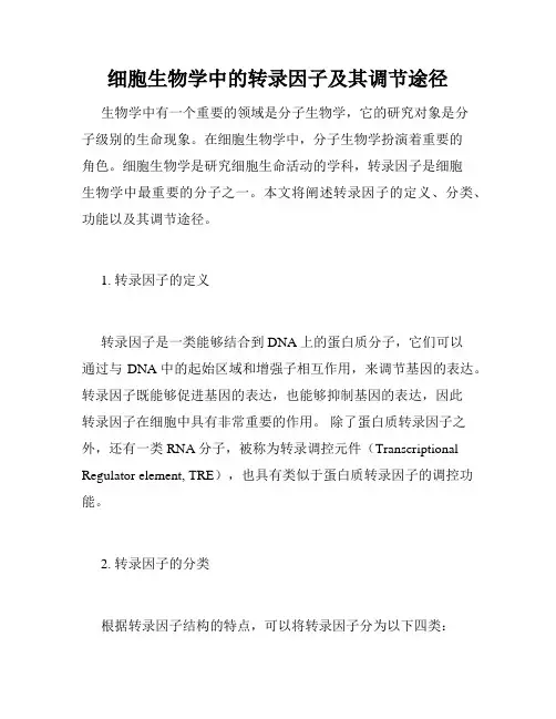 细胞生物学中的转录因子及其调节途径