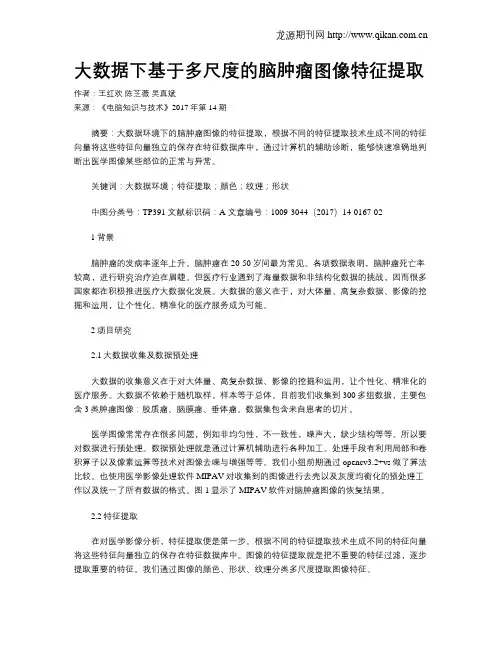 大数据下基于多尺度的脑肿瘤图像特征提取