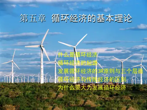 第五章循环经济的基本理论