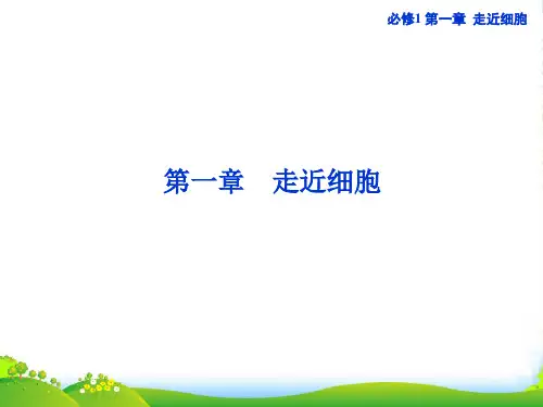 高考生物一轮复习 第一章 走近细胞课件 新人教版必修1