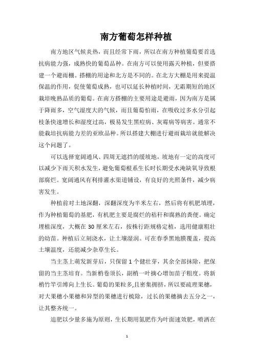 南方葡萄怎样种植