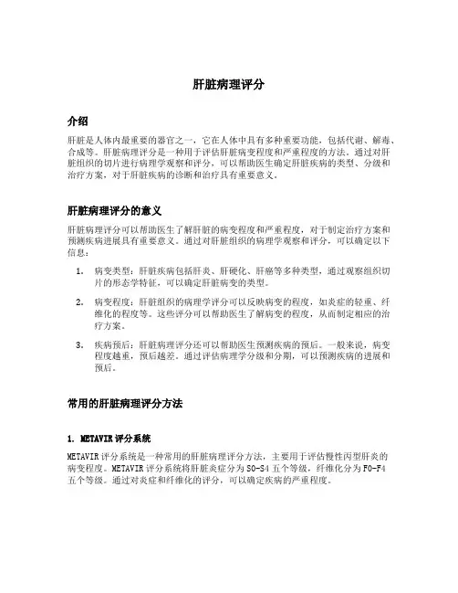 肝脏病理评分