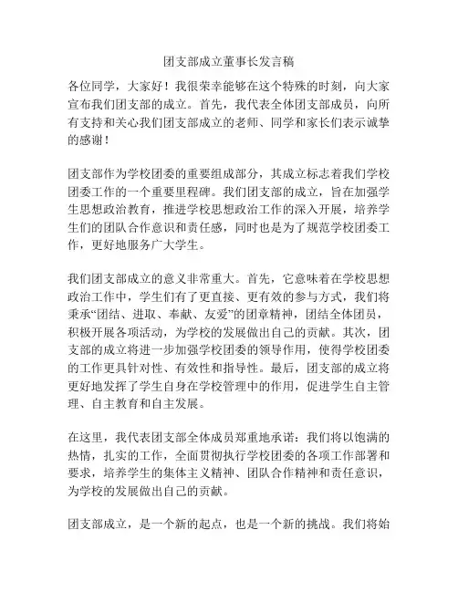 团支部成立董事长发言稿