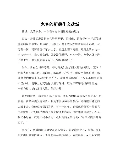 家乡的新貌作文盐城