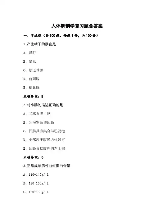 人体解剖学复习题含答案
