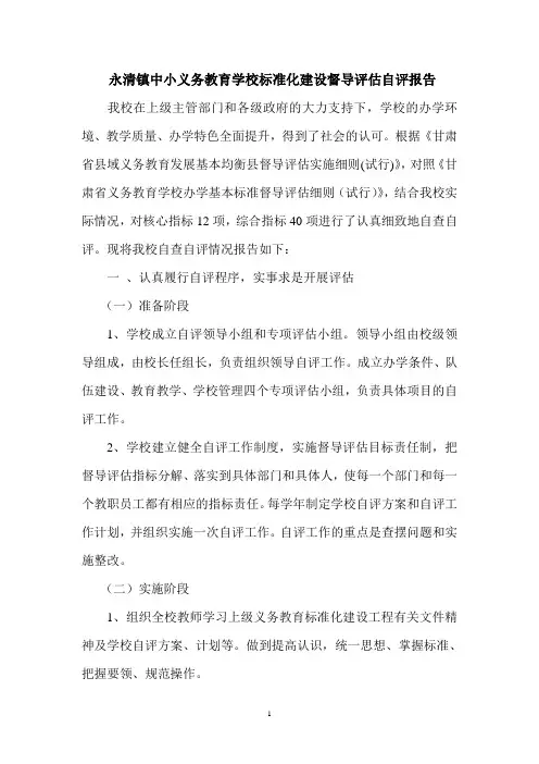 中心小学评估报告
