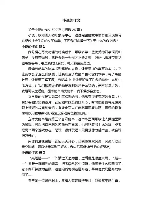 小说的作文