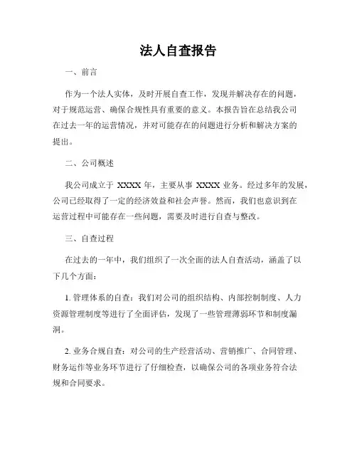 法人自查报告