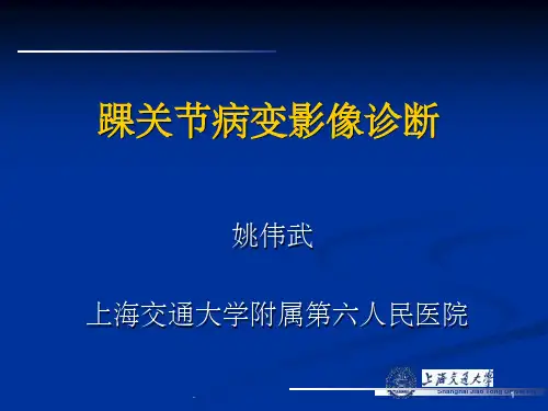 MRI踝关节病变影像诊断ppt课件