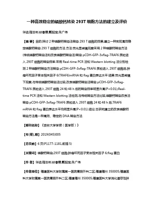 一种高效稳定的磷酸钙转染293T细胞方法的建立及评价