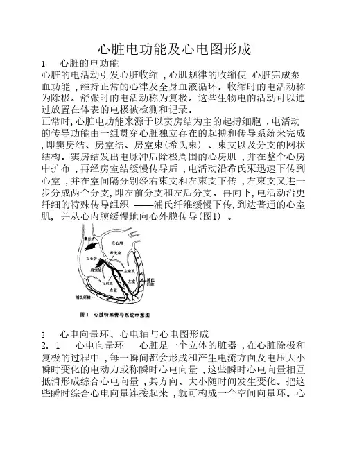 心电图的正常值