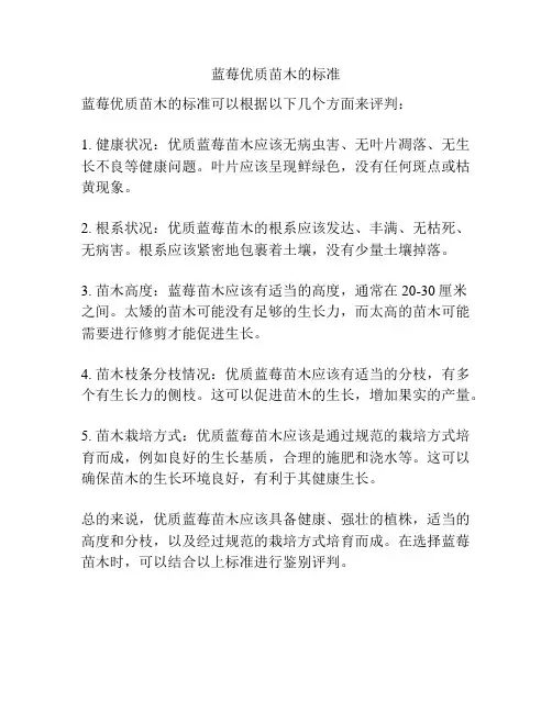 蓝莓优质苗木的标准