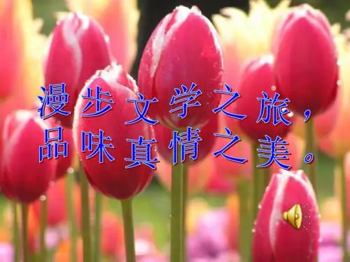 提醒幸福课件(最终,请不要删)