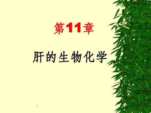 专科生物化学肝的生物化学