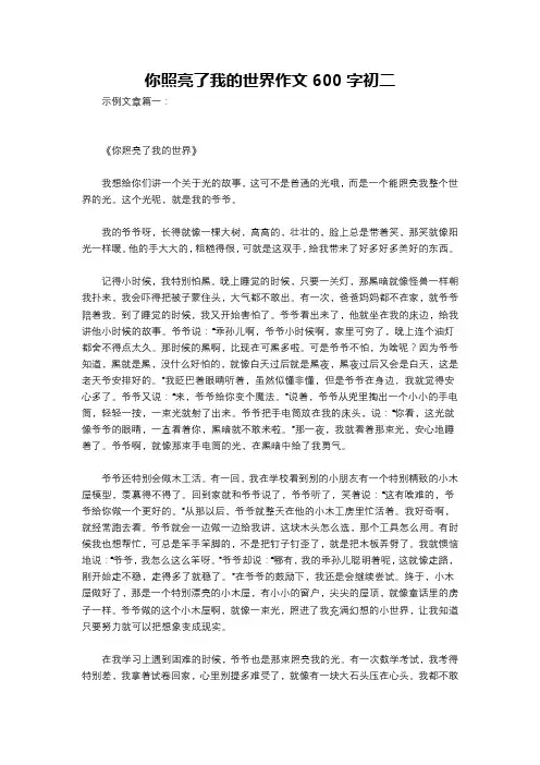 你照亮了我的世界作文600字初二